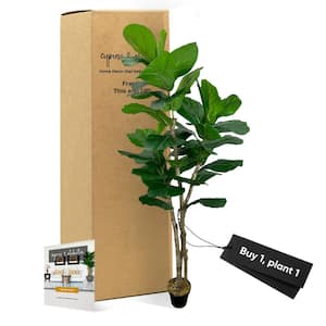 Handmade 7 ft. Artificial Large Natural Fiddle Leaf Fig Tree in Home Basics Starter Pot Made Real Wood and Moss Accents