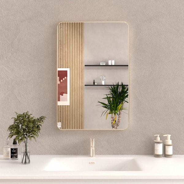 Unbranded Brushed Nickel 24 in. W x 36 in. H Farmhouse Rectangle Aluminum Framed Bathroom Wall Mirror, Tempered Glass Mirrors