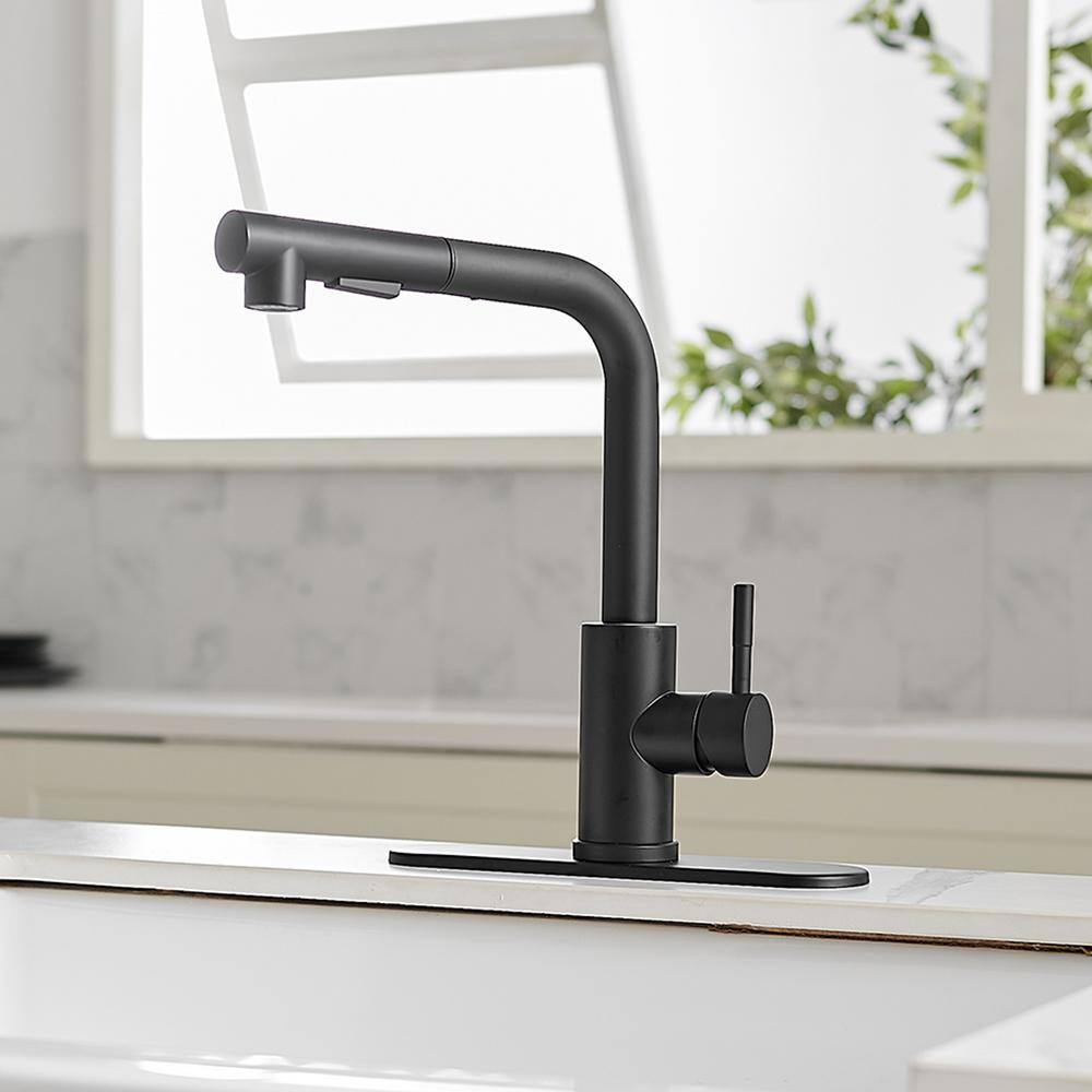 Matte Black Stainless Steel Pull-Out Spray Kitchen Faucet