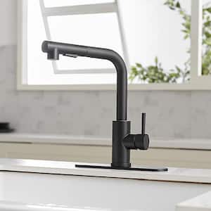 2 Sprayer Single Hole Single-Handle Pull Out Kitchen Faucet in Matte Black