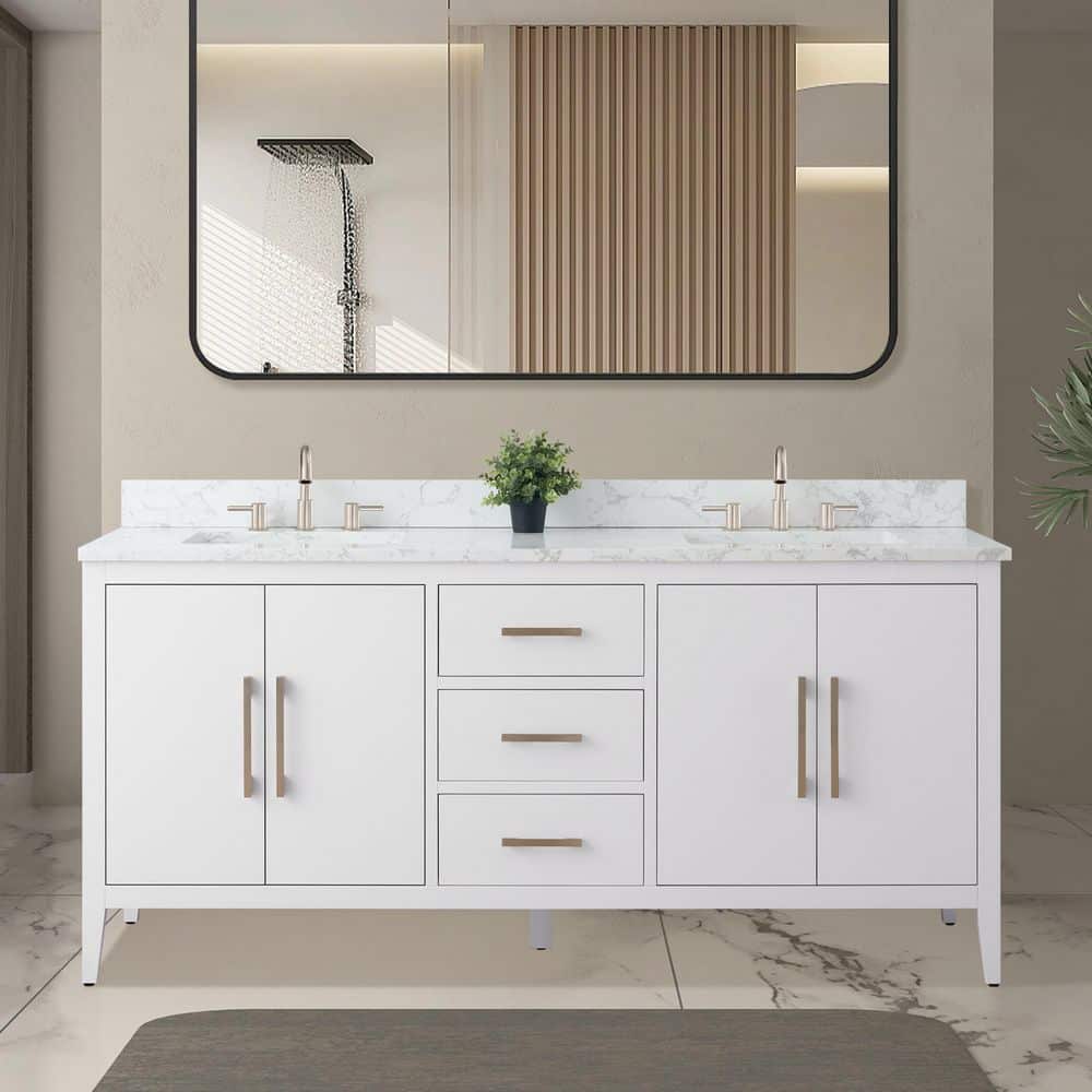 平棚 800x350x300 ① Vanity Art 72 in. W x 22 in. D x 38 in. H Double Sink Bathroom