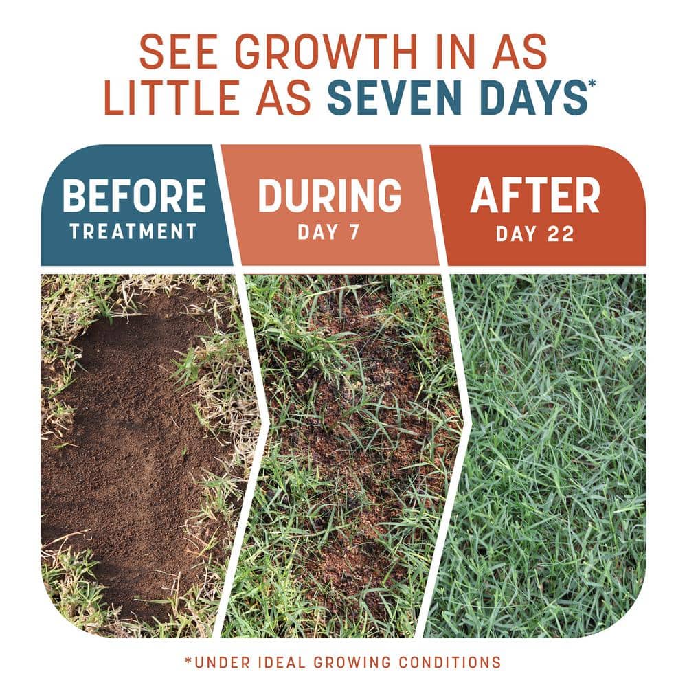 Smart Patch Bermudagrass 10 lb. 200 sq. ft. Grass Seed Bare Spot Repair with Mulch and Fertilizer - Thumbnail 4