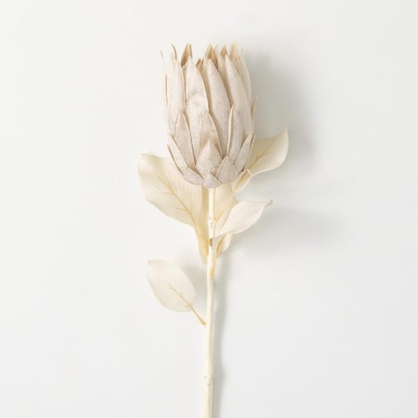 SULLIVANS 29 in. Artificial Natural Pale Cream Protea