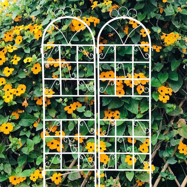 Tunearary 72 in. H, Metal Garden Trellis, Outdoor Rustproof Plant Stand, Climbing Plants, Ceramic White Porcelain, 1-Set (2-Piecs)