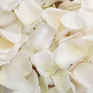 3500 White Rose Petals- Fresh Flower Delivery