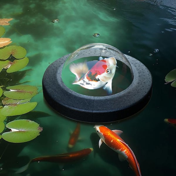 Gardenised Floating Plastic Pond Fish Dome Ball for Fish to Swim Above the Surface of the Pond, Easy Assembly QI004664 Gardenised Floating Plastic Pond Fish Dome Ball for Fish to Swim Above the Surface of the Pond, Easy Assembly QI004664