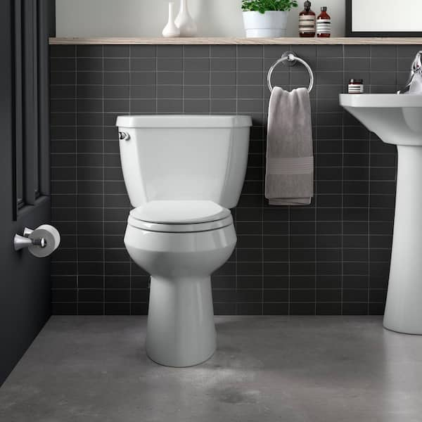 https://images.thdstatic.com/productImages/dd922a85-a4d5-4d67-937b-e0ecdd02fdab/svn/ice-grey-kohler-toilet-seats-k-4636-95-4f_600.jpg