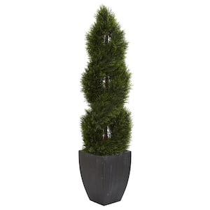 5 ft. High Indoor/Outdoor Double Pond Cypress Spiral Topiary Artificial Tree in Black Wash Planter