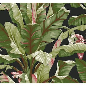 Tropics Banana Leaf Spray and Stick Roll Wallpaper (Covers 60.75 sq. ft.)