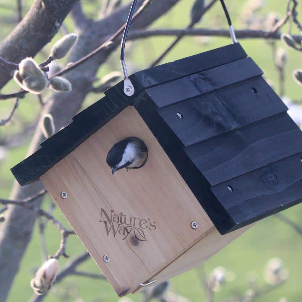 Nature's Way Cedar Hanging Wren Bird House with Black Roof