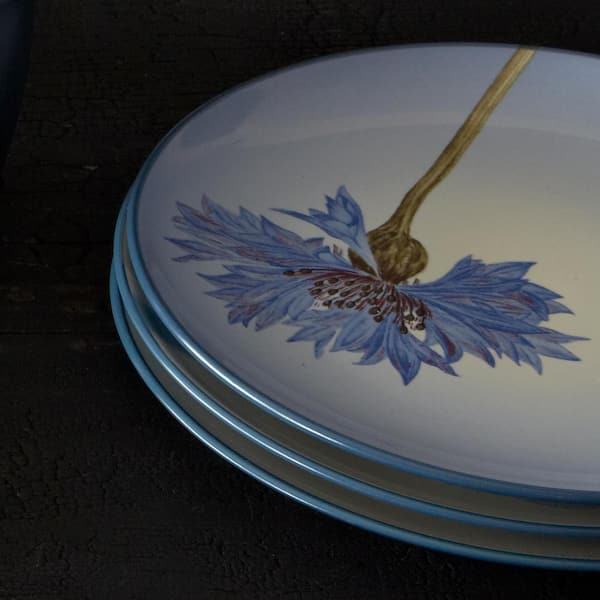 Colorwave Blue 8.25 in. (Blue) Stoneware Floral Accent Plates, (Set of 4)