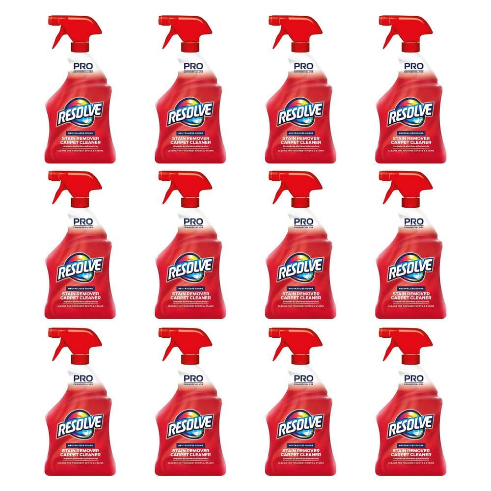 32 oz. Professional Carpet Cleaner and Stain Remover Spray (12-Pack) price history on PriceWatchPro
