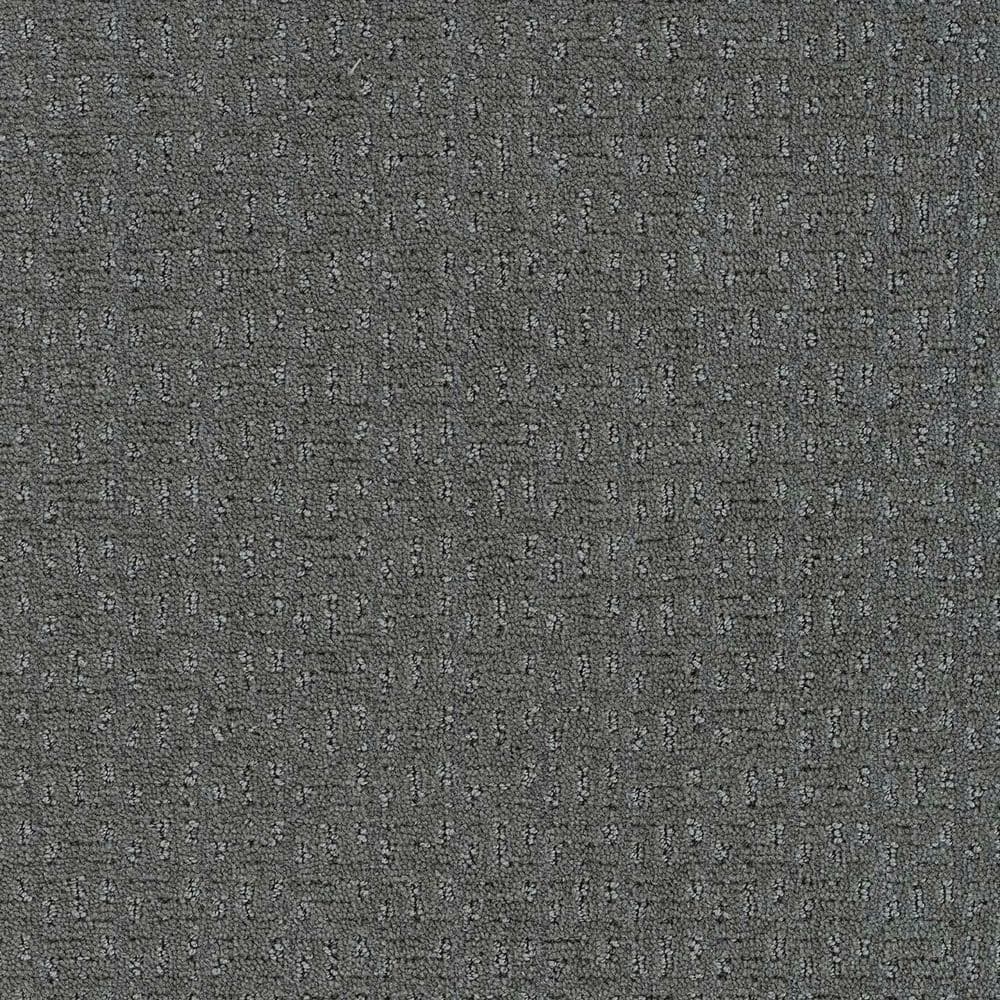 8 in. x 8 in. Loop Carpet Sample - Earthy Editions - Color Serene price history on PriceWatchPro