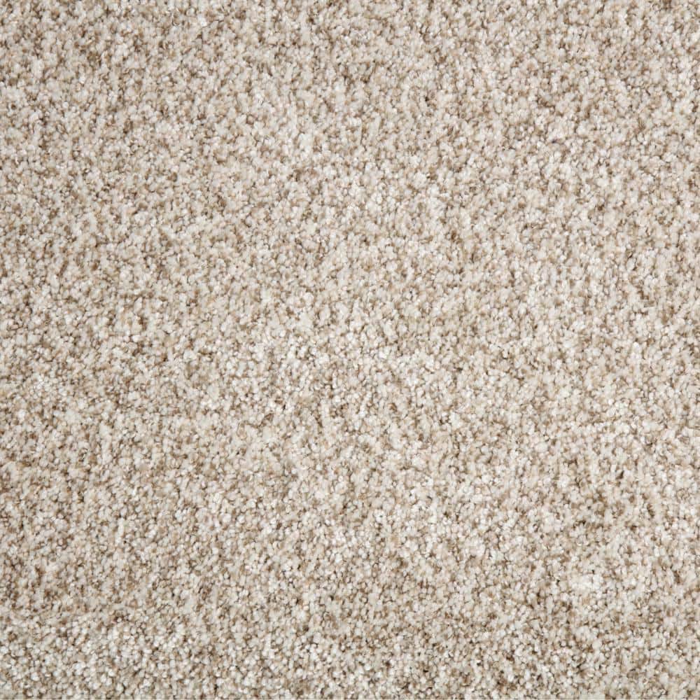 8 in. x 8 in. Texture Carpet Sample - Trendy Threads Plus III -Color Bonanza price history on PriceWatchPro