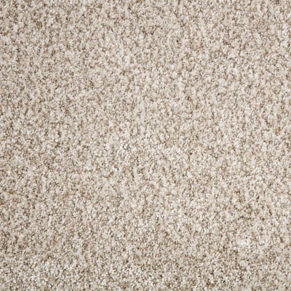 8 in. x 8 in. Texture Carpet Sample - Trendy Threads Plus III -Color Bonanza