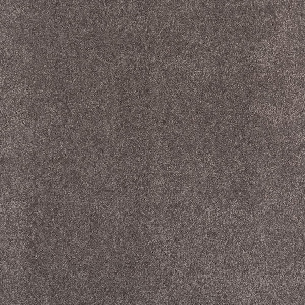 Lifeproof with Petproof Technology Waking Up I Stone Gray 37 oz. Triexta Textured Installed Carpet