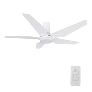 Maclean 48 in. Color Changing Integrated LED Indoor Matte White 10-Speed DC Ceiling Fan with Light Kit/Remote Control