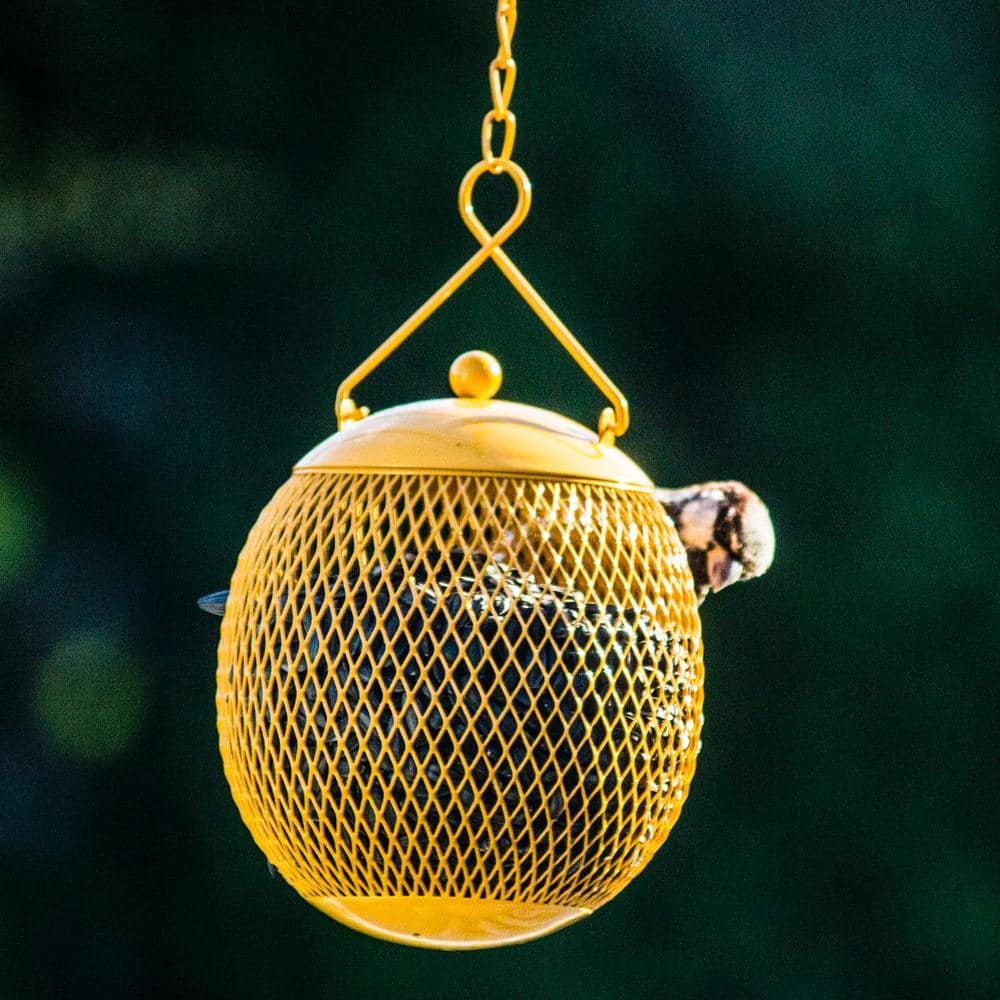 Colorful Metal Mesh Hanging Bird Feeders Set of 3