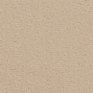 Adalida - Seashell - Beige 40 oz. SD Polyester Pattern Installed Carpet