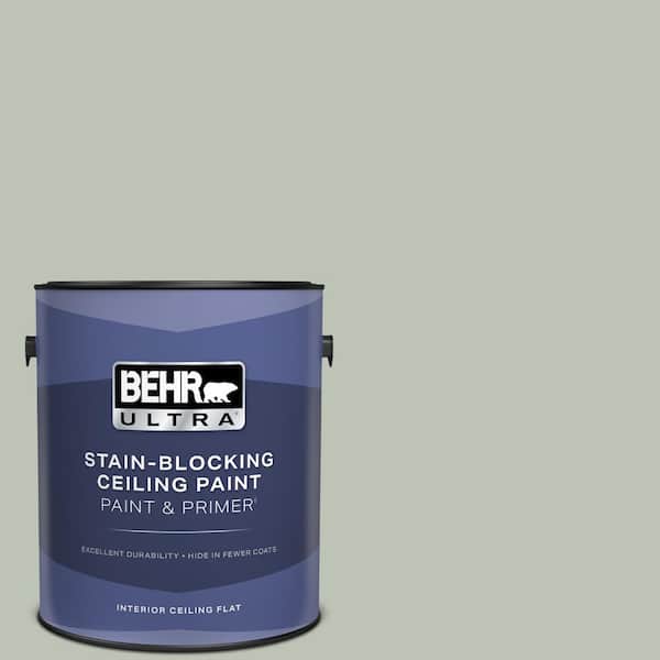 1 gal. #PPU11-11 Summer Green Ceiling Flat Interior Paint & Primer