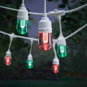 12 Light 24 ft. Outdoor Plug-in Integrated LED White Edison Bulb RGBW Color Changing String Light Powered by Hubspace