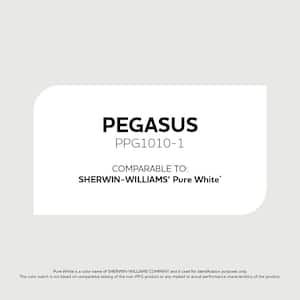 Pegasus PPG1010-1 Paint - Comparable to SHERWIN WILLIAMS' Pure White