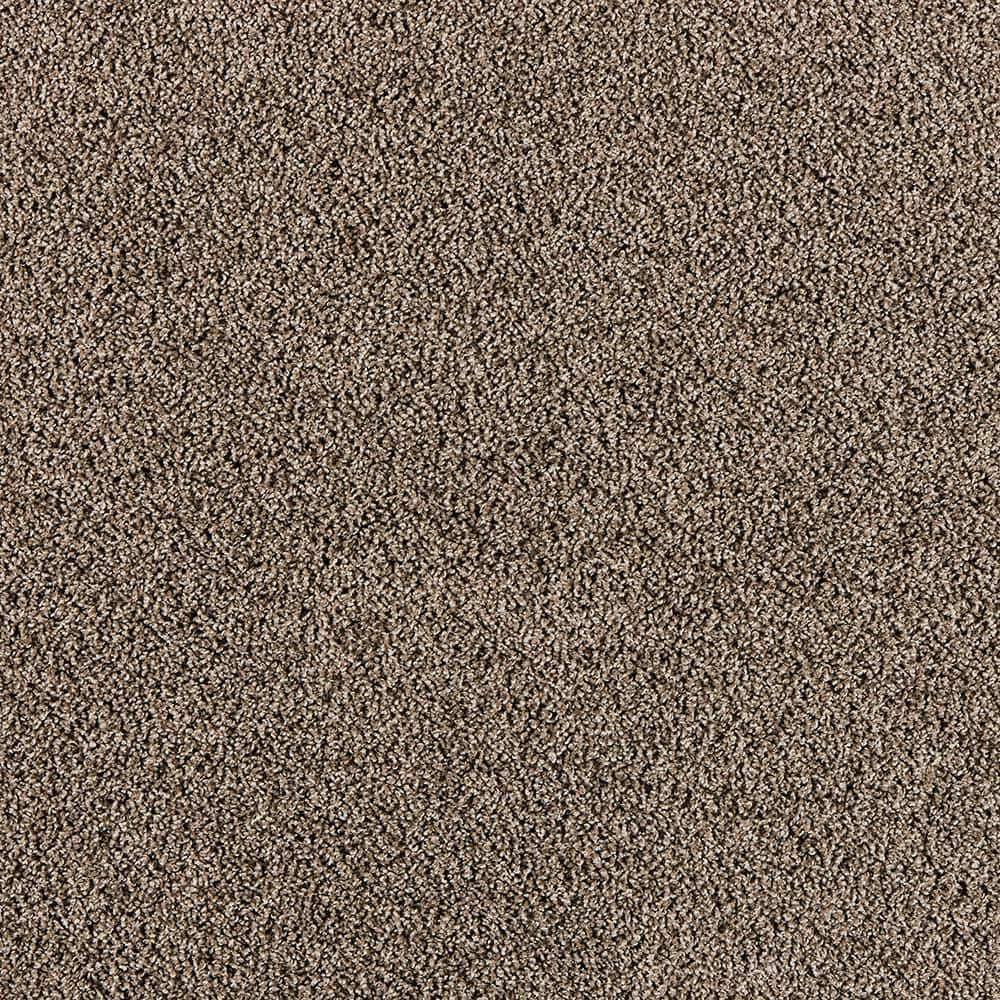 8 in. x 8 in. Texture Carpet Sample - Radiant Retreat I  - Color Stormy price history on PriceWatchPro