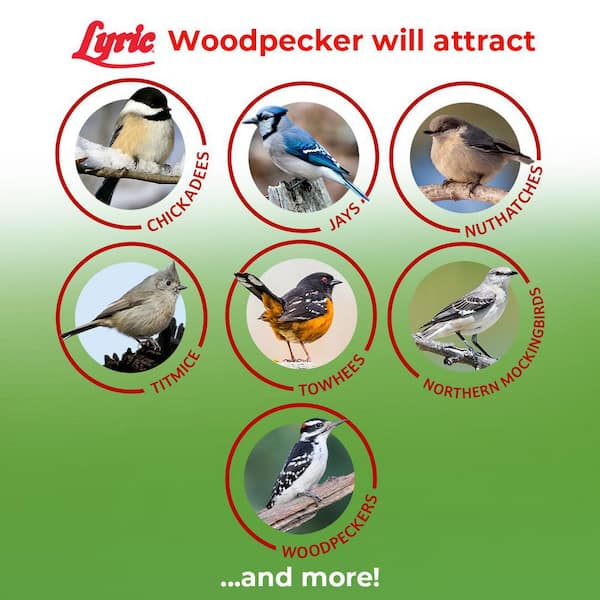 Lyric 20 lb. Woodpecker No Waste Wild Bird Mix 2647334 - The Home