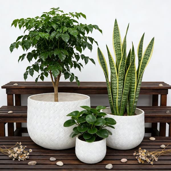 Large Concrete Round Planter Set, Outdoor Indoor with Drainage Hole, White with Weaving Pattern (3-Pack)