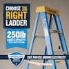 werner-platform-ladders-fs106-1d.3