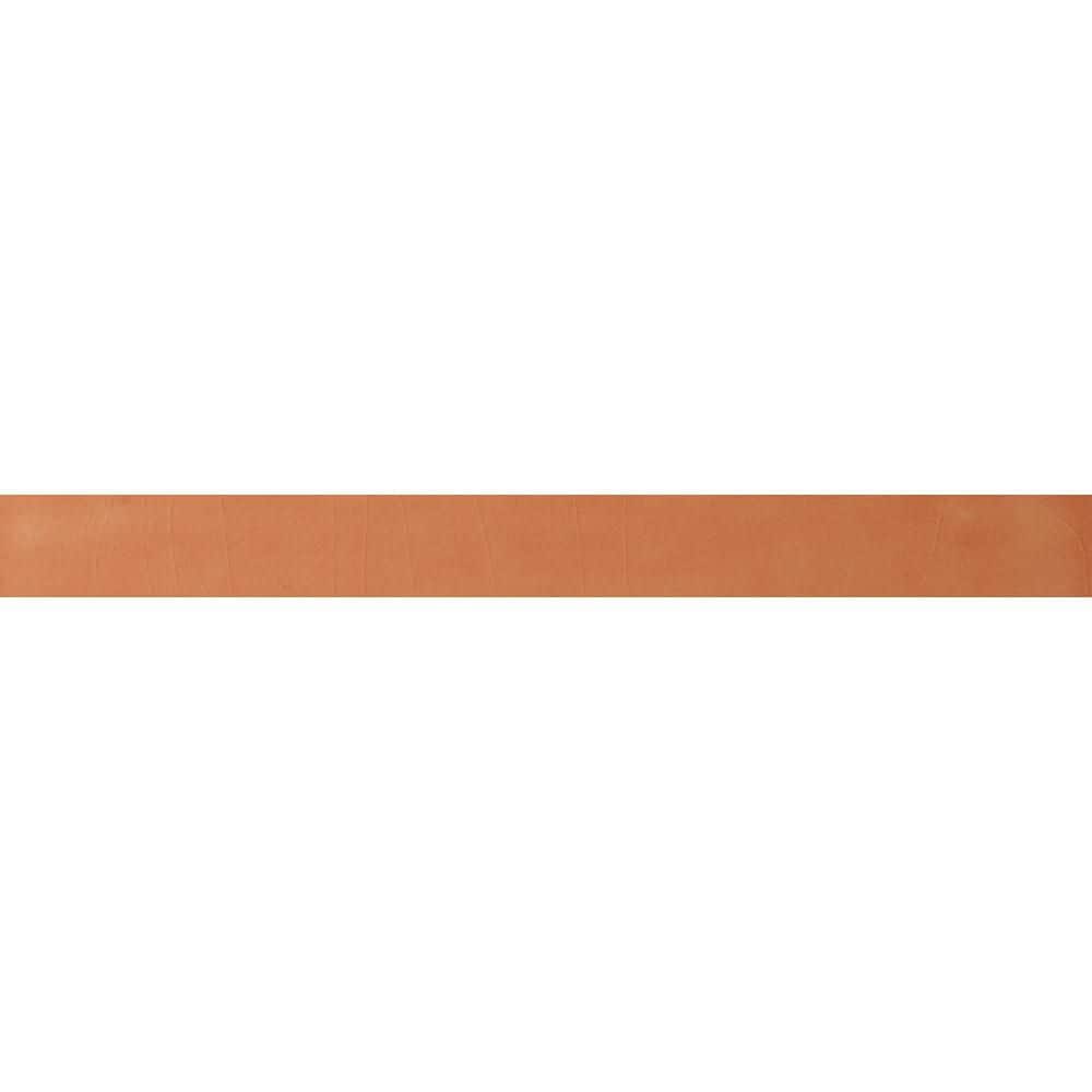Radiance Tickle My Fancy Glossy Glazed Ceramic Jolly Wall Trim, 0.75 in. x 8 in. (0.042 sq. ft./Piece) price history on PriceWatchPro
