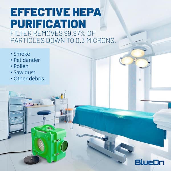 Bythesea8350 新古品 AIRQ100フレッシュクリーン 2本 Bythesea8350 新古品 AIRQ100フレッシュクリーン 2本 2025年最新