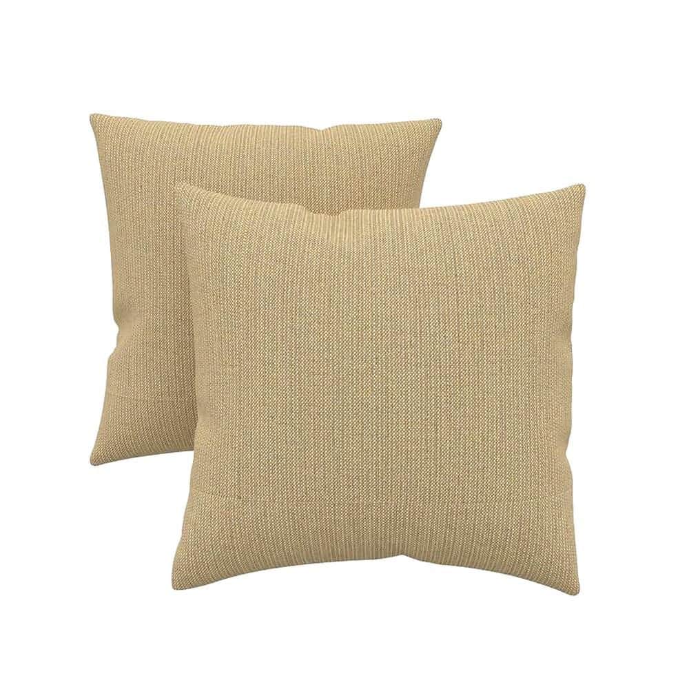 16x16 Sunbrella Calista Cabernet Outdoor Throw Pillow, (Set of 2) price history on PriceWatchPro