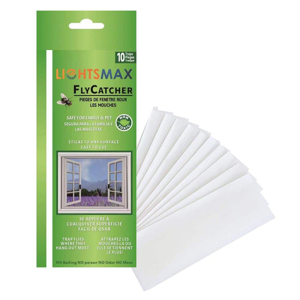 Lousye 50 Pack Window Fly Traps for Indoors, Fly Paper Sticky