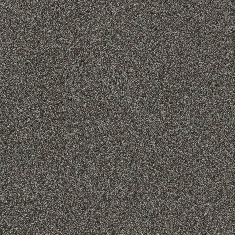 8 in. x 8 in. Texture Carpet Sample - Serene Glory II - Color Tranquil price history on PriceWatchPro
