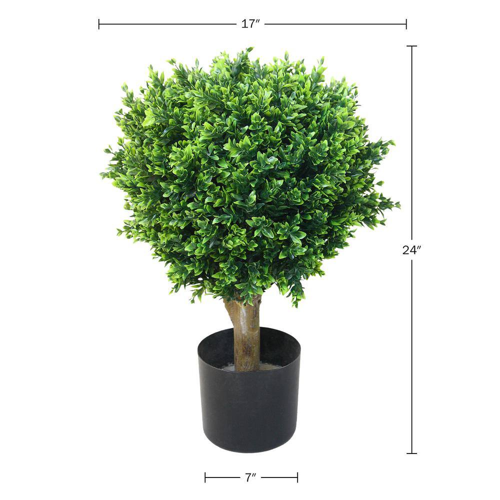24" Romano Boxwood Sphere Topiary in Black Plastic Pot - Set of 2