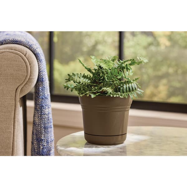 5 in. Anne Chocolate Brown Plastic Planter (5 in. x 4.5 in.) with Drainage Hole and Attached Saucer