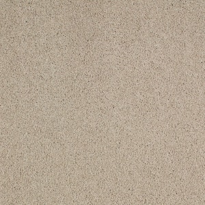 Cleoford Twine Beige 47 oz. Triexta Texture Installed Carpet