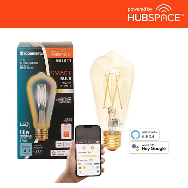 EcoSmart 60-Watt Equivalent Smart ST19 Amber Tunable White CEC LED Light Bulb with Voice Control (1-Bulb) Powered by Hubspace