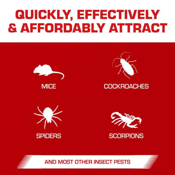 TOMCAT - Super Hold Glue Traps Mouse Size for Mice, Cockroaches, Spiders, and Scorpions, Ready-To-Use, 4 Traps