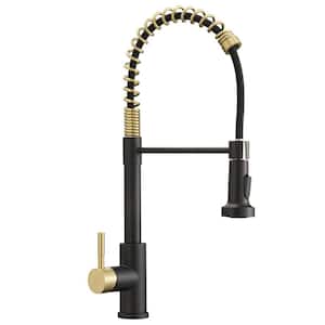 Single Handle Pull Down Sprayer Kitchen Faucet with Dual Function Spray Head in Black Brushed Gold