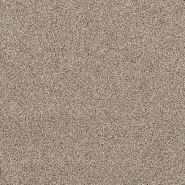 Lifeproof Urban Artifact I - Dakota - Brown 46.8 oz. Nylon Texture Installed Carpet