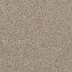 Urban Artifact II - Dakota - Brown 60.9 oz. Nylon Texture Installed Carpet