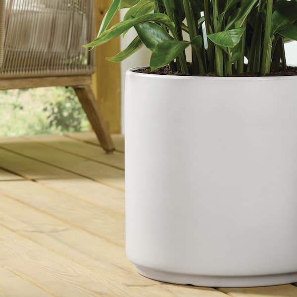 Vigoro Eloise Medium White Ceramic Cylinder Planter with Drainage