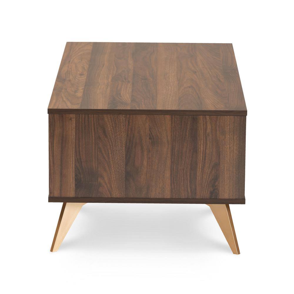 Walnut Brown and Gold Mid-Century Modern Coffee Table with Storage