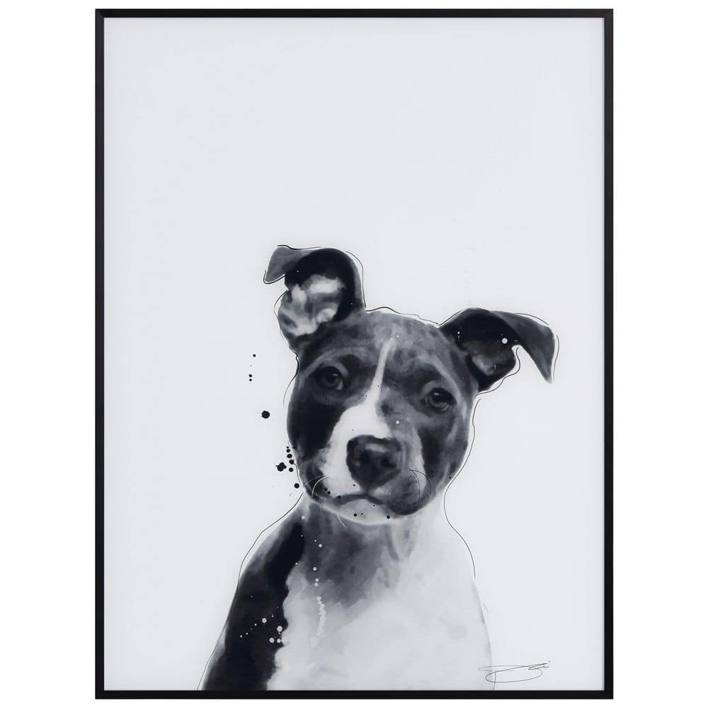 Empire Art Direct Labrador Retriever Black and White Pet Paintings on  Printed Glass Encased with a Gunmetal Anodized Frame AAGB-JP1037-2418 - The  Home Depot