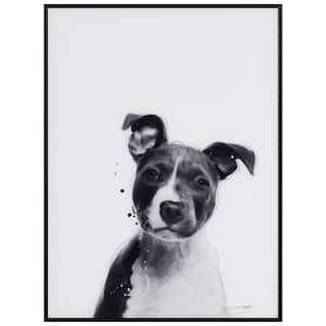"Pitbull" Black and White Pet Paintings on Printed Glass Encased with a Gunmetal Anodized Frame