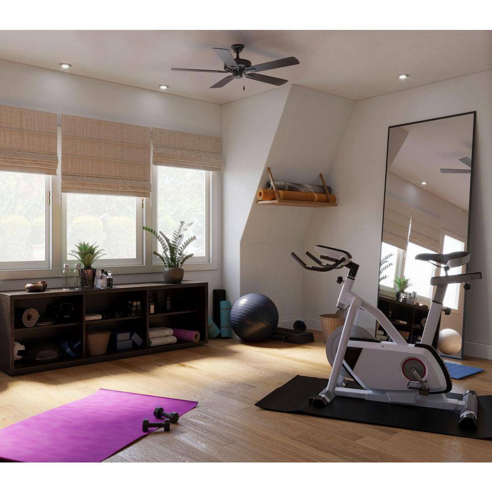 Graphite 52" 5-Blade Ceiling Fan with Reversible Blades