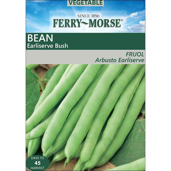 Ferry-Morse Bean Earliserve Bush Seeds