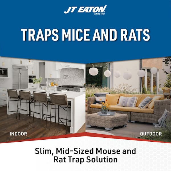 Slim Glue Boards for Rats Mice and Insects